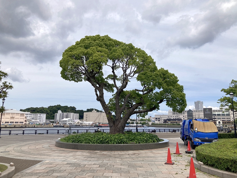 ヴェルニー公園